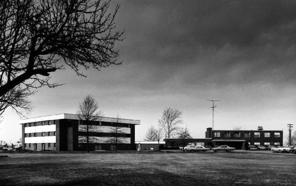 Rooted in community: Sara's journey to Halcyon House